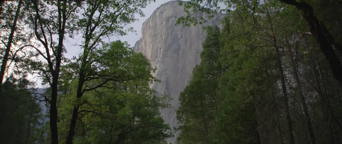 Mountain edge above trees