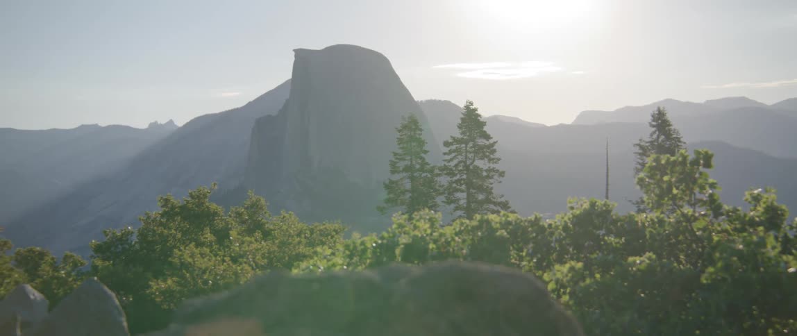 A forest sits at the base of a canyon