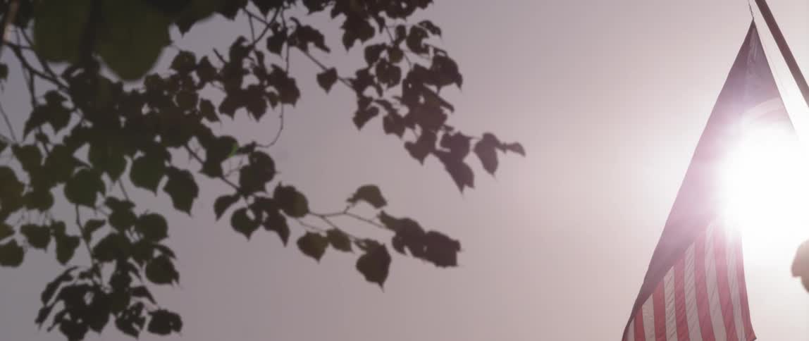 View of a cloudy sky with some branches hanging and an american flag