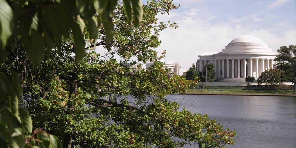 Washington DC