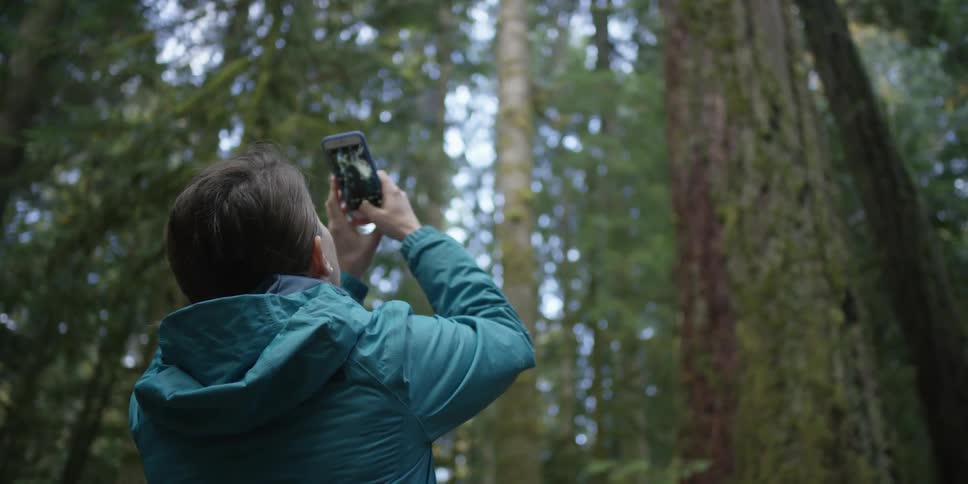 A woman points a phone camera to take a photo of the top of trees
