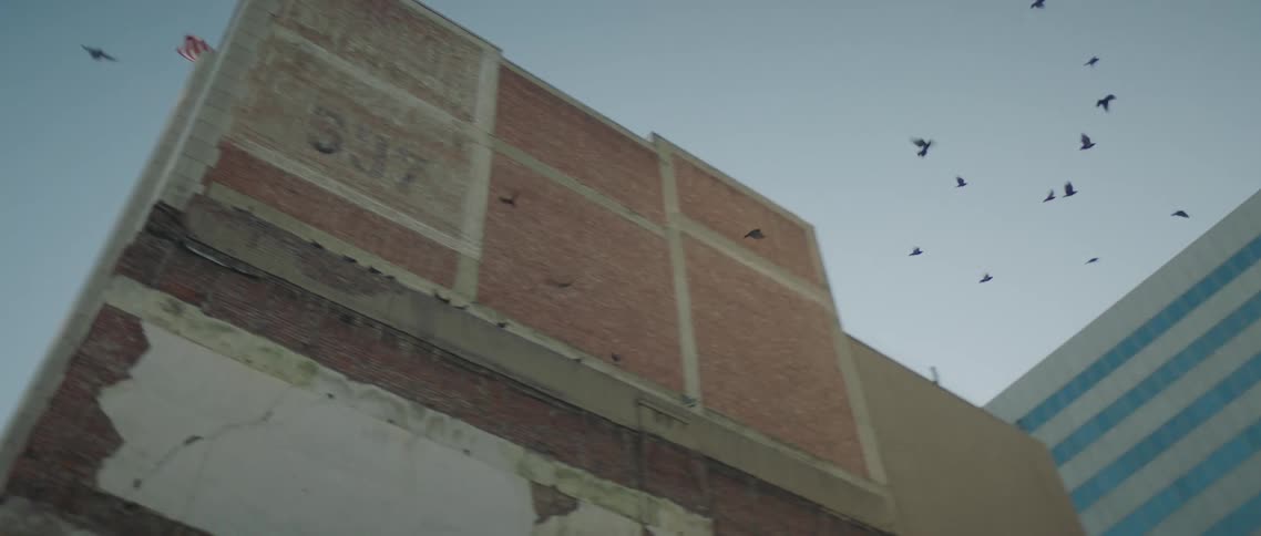 A group of birds flying around in a city