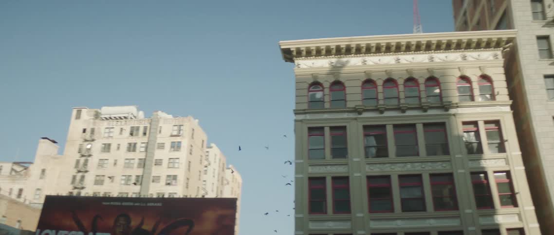 A flock of birds are flying among downtown city buildings