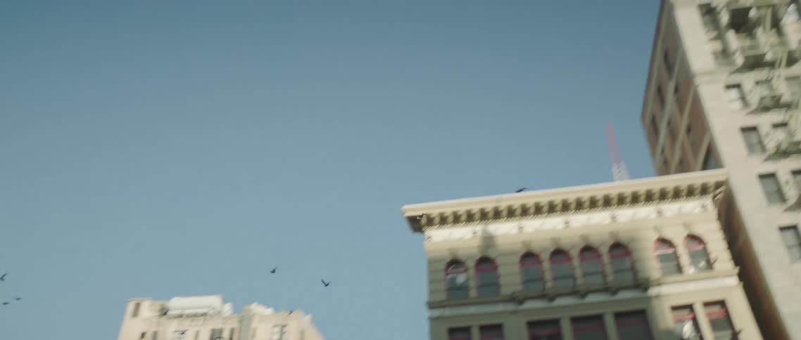 Birds flying in the air with buildings the sky and clouds in the background