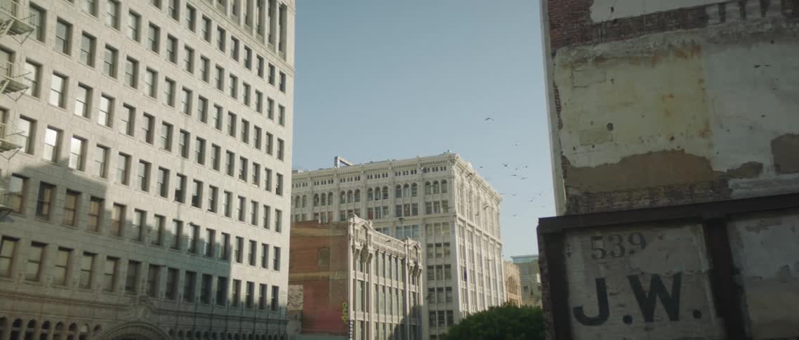 Flock of pigeons flying over the city streets at morning under a blue sky