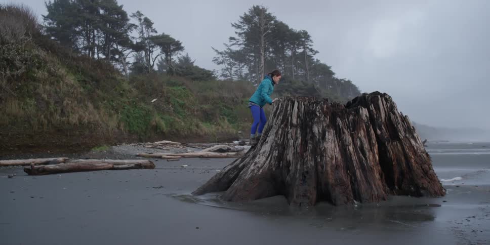 A woman is climbing on an old tree stump on the beach