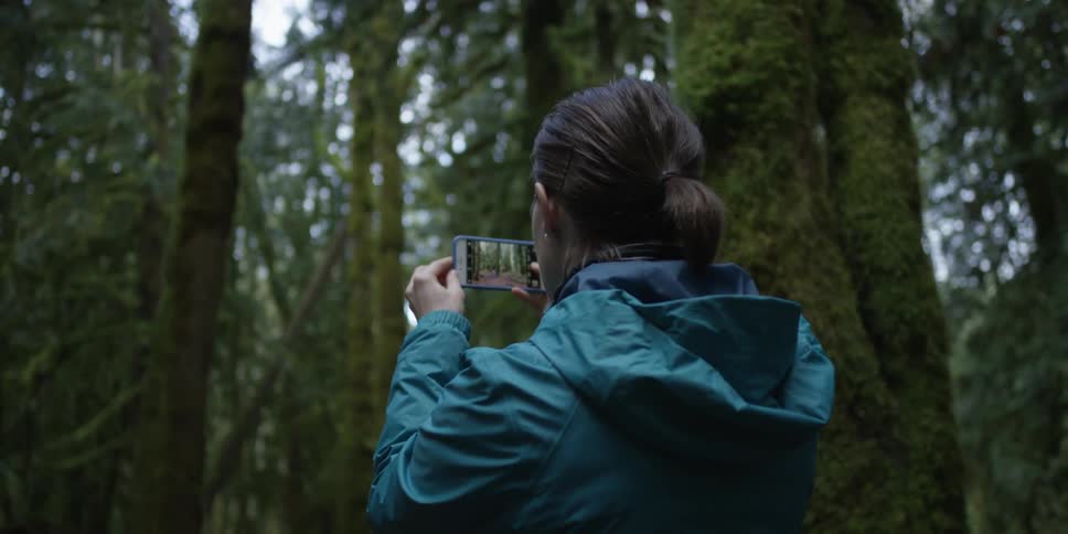A woman in a blue jacket takes picture of trees