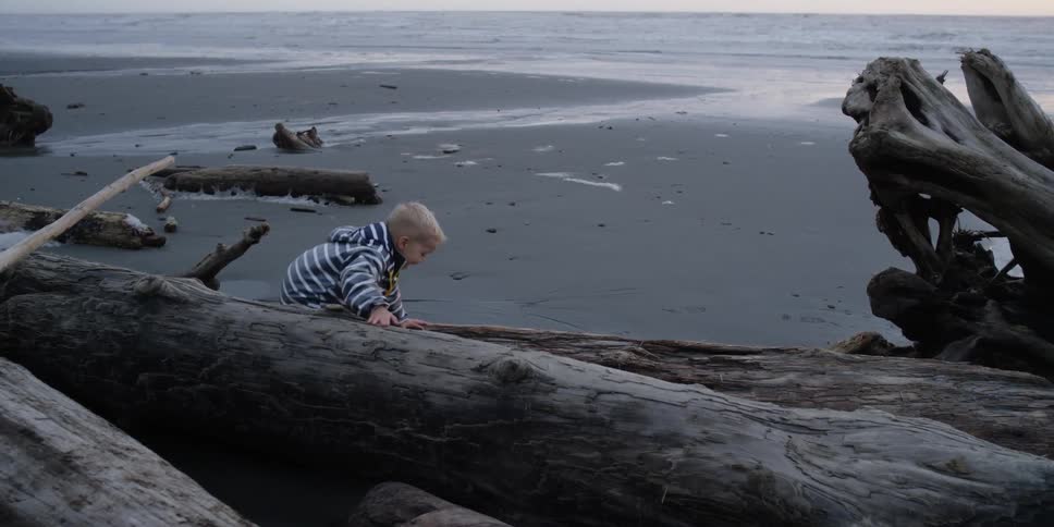 A toddler climbs on old logs laying on the beach