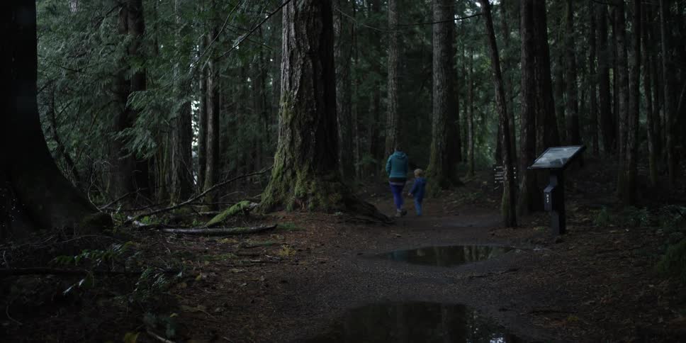 A woman and young boy walk on a path in a forest