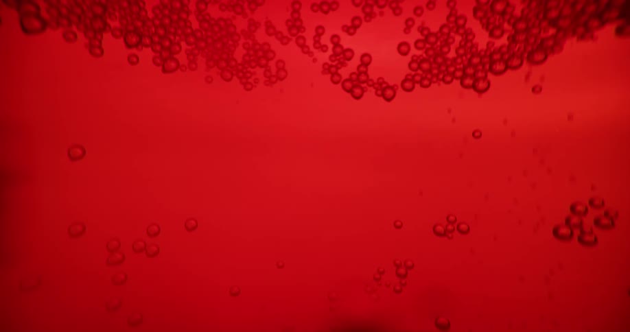 Bubbles rise and cling to glass in amber liquid