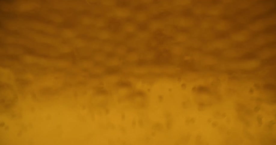 Bubbles foaming up inside a glass of beer