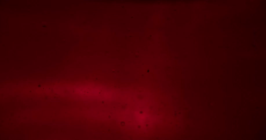 Air bubbles floating on liquid under red lights
