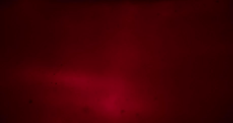 Abstract footage of bubbles in red liquid