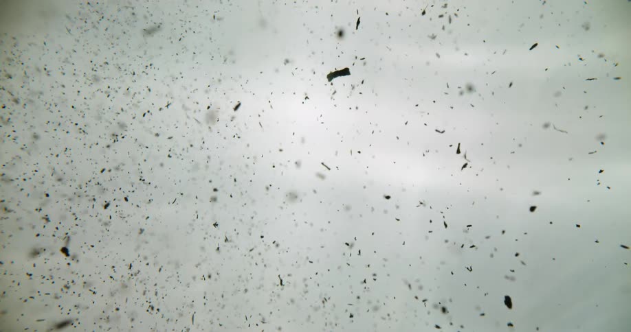 Black particles falling downward in front of a white background