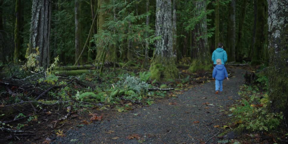 A woman and a boy walk into a forest