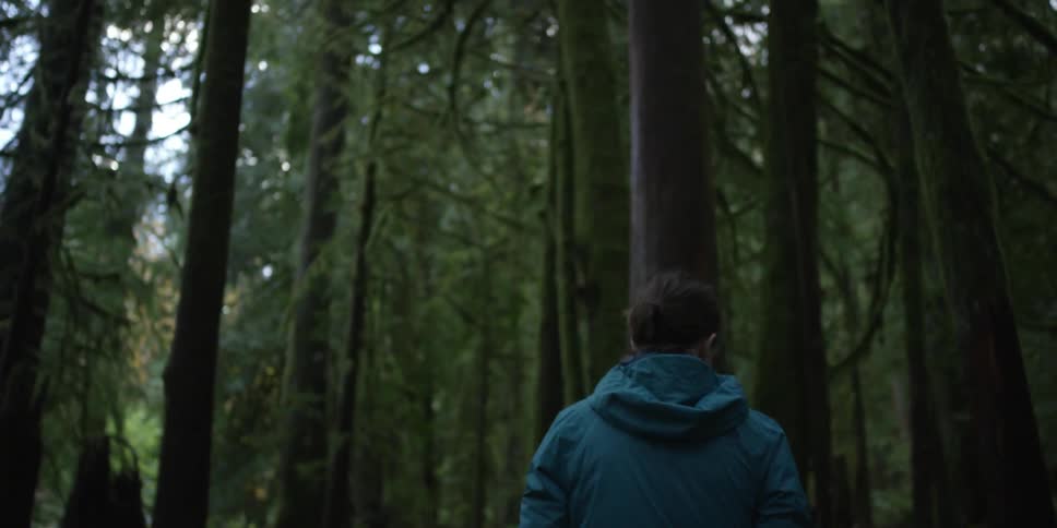 A woman is hiking in the forest