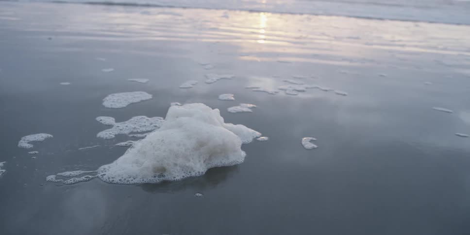 A chunk of foam moving alone the beach