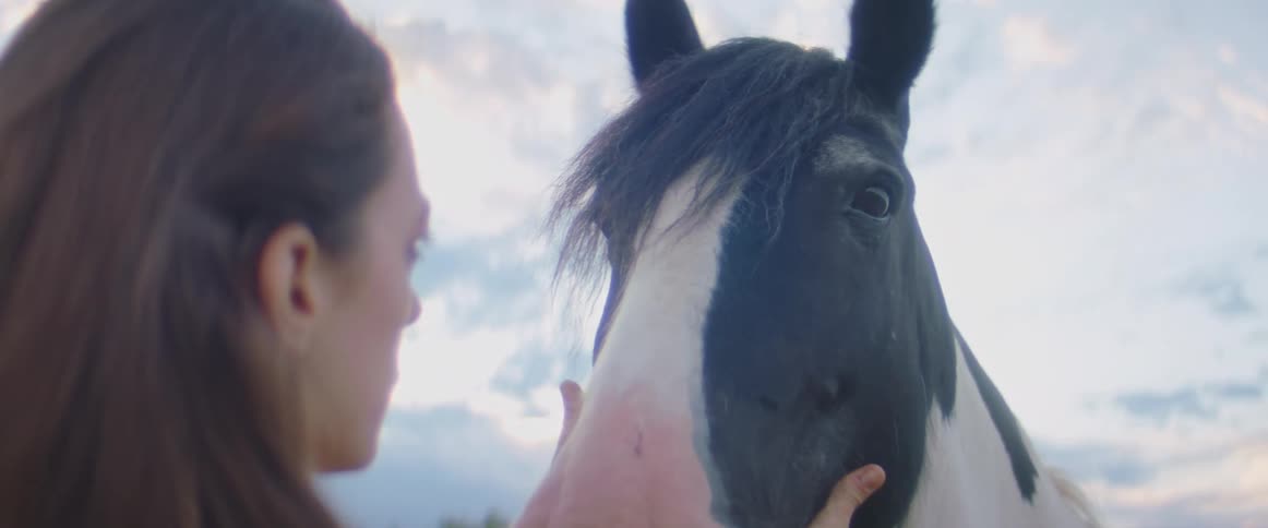 Woman with brown hair touches horses head