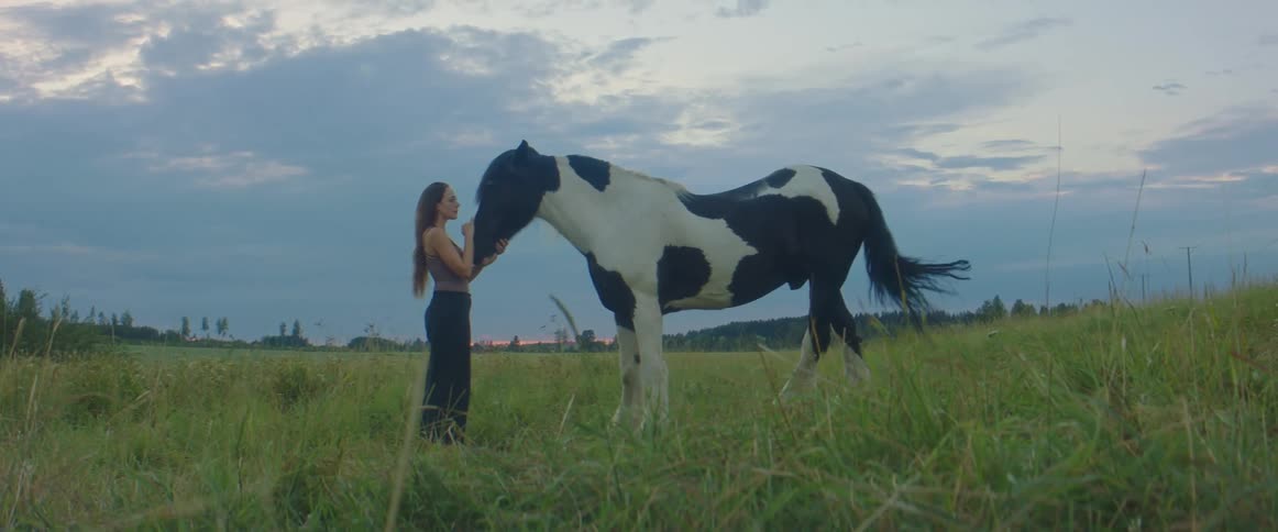 A woman pets a black and white spotted horse in a large field