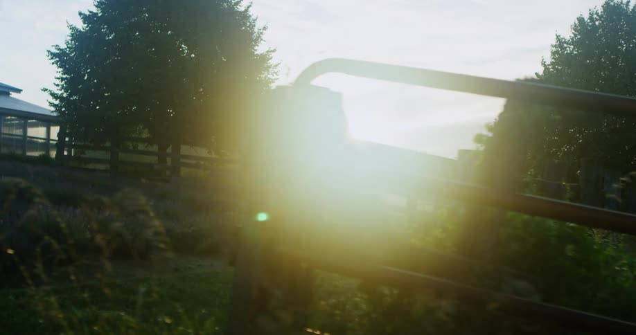 The sun is shining brightly through a rural area with a fence around it