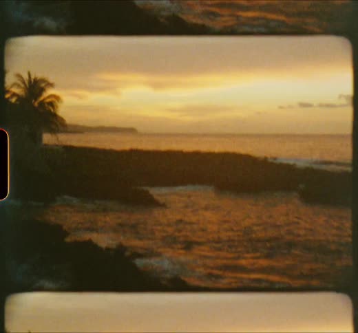 Ocean waves break and splash against the rocky shore with palm trees silhouetted against the sky