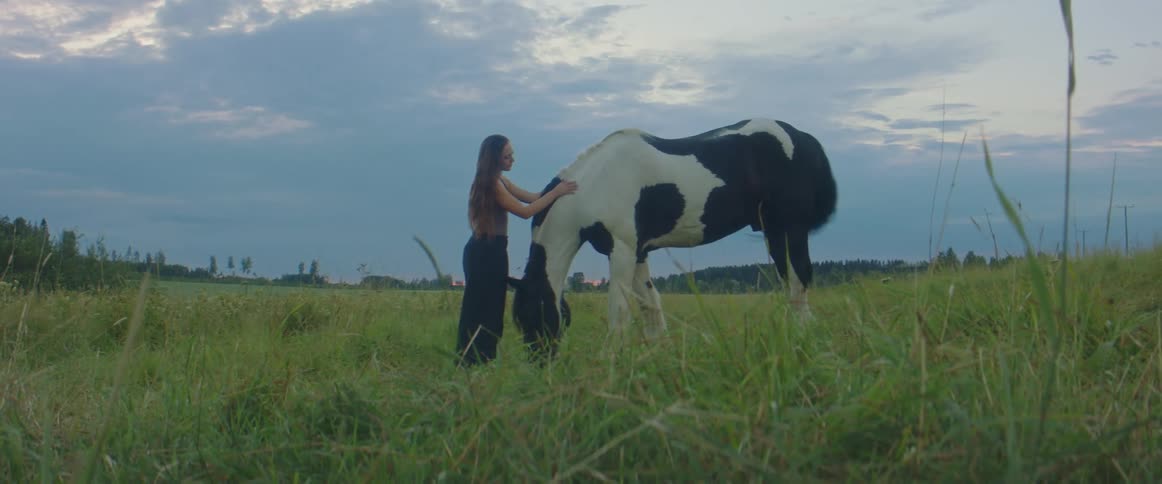 Young woman caresse the neck of a horse grazing on the green prairie at sunset