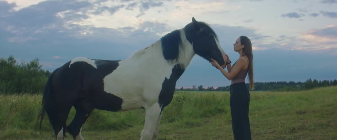 A woman stands in a grassy field petting a black and white horse