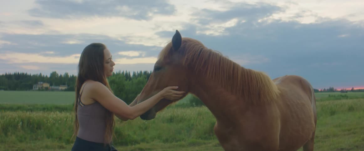 A woman stands in a grassy field petting a horse