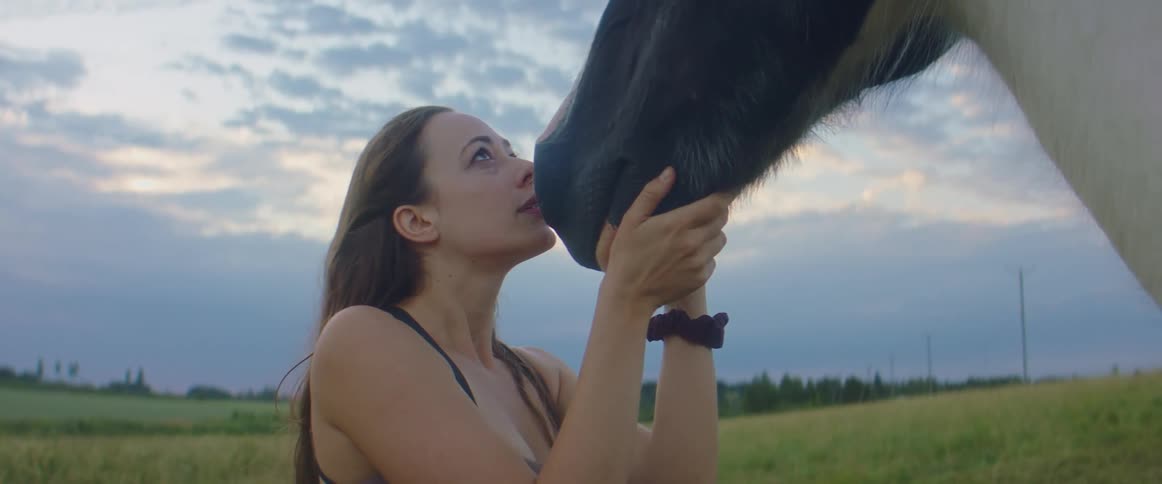 Young woman kisses the snout of a horse on a grass field at sunset