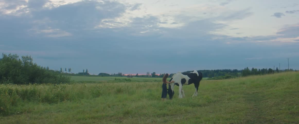 A woman in a field petting a horse with trees the sky and clouds in the background