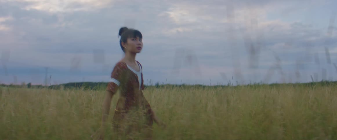 Young woman wearing a red dress walking on the tall grass at sunset