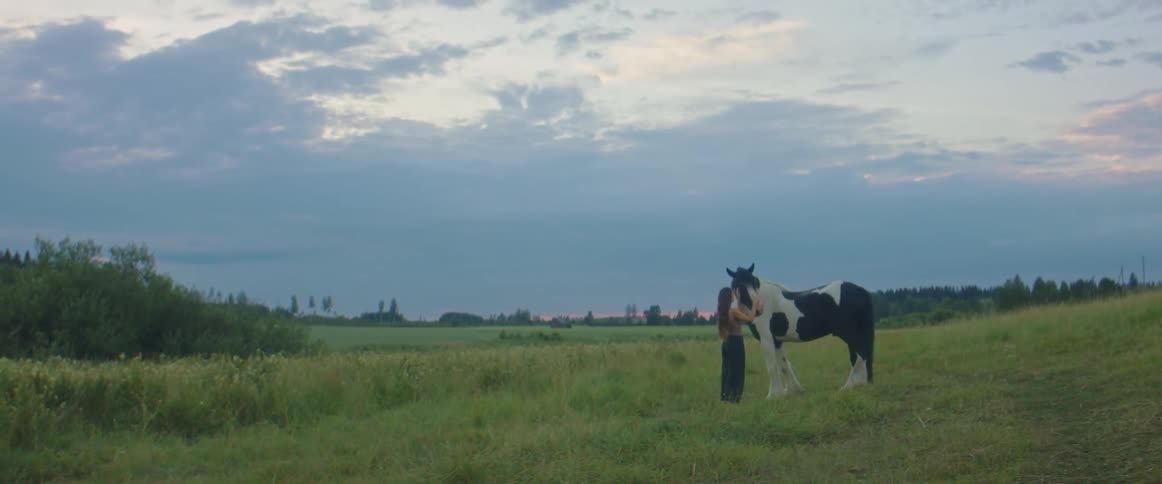 A woman petting a horse out in a field