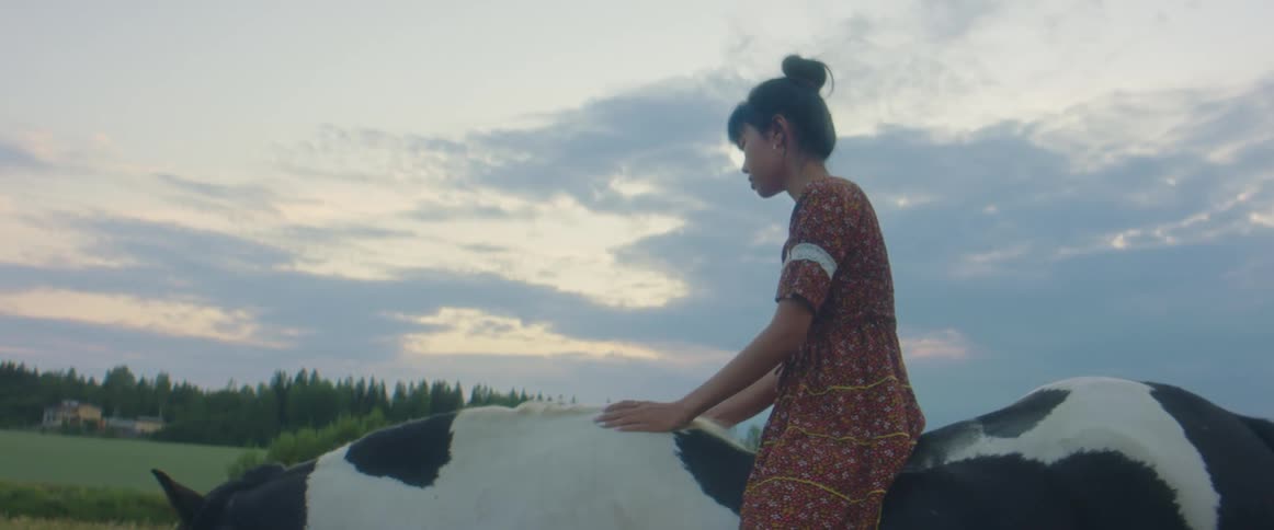 Woman wearing a dress riding a horse on a grass field at sunset