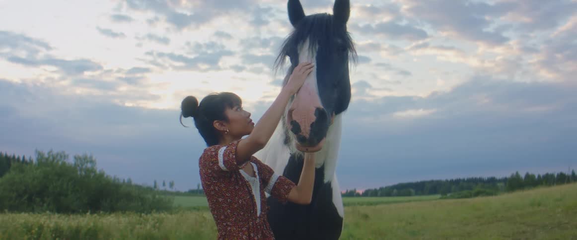 A woman petting a horse outdoors