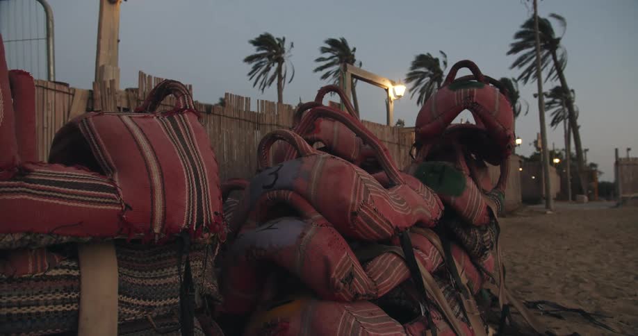 Saddles stacked atop one another outdoors in the evening