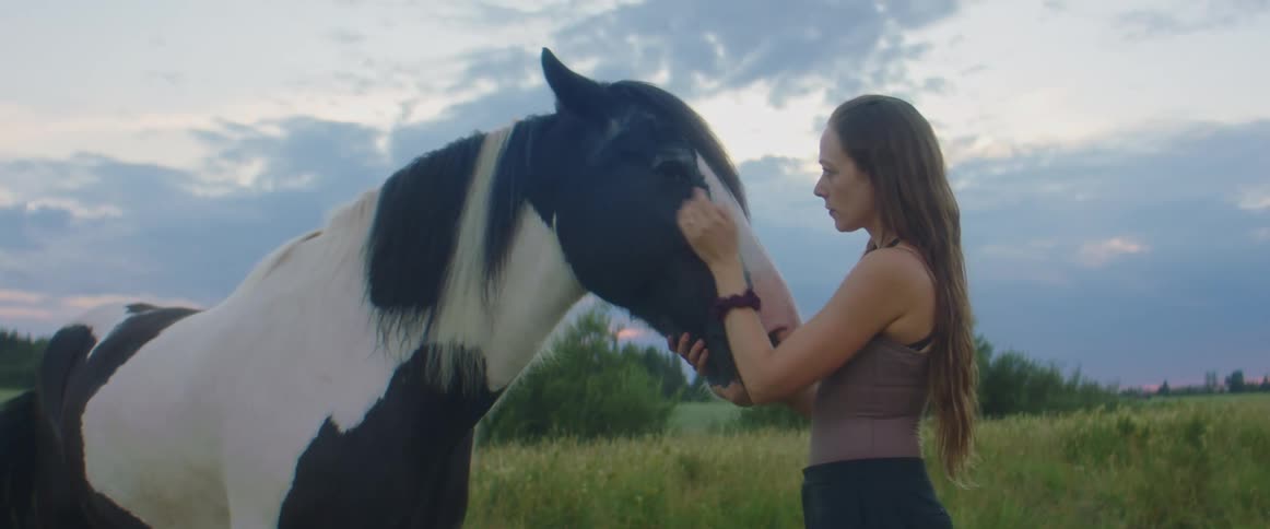 Woman with long brown hair caresses horse in field at dusk