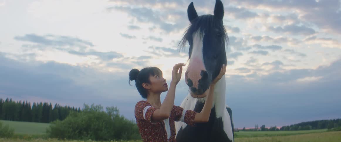 A woman stands in a rural area petting a horses face