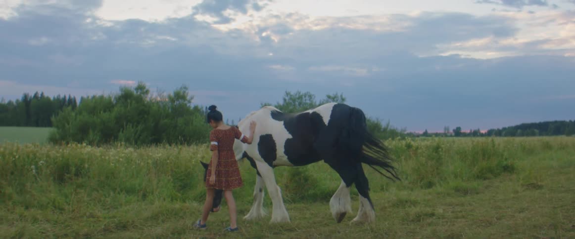 A woman walking with a horse on a field with trees the sky and clouds in the background