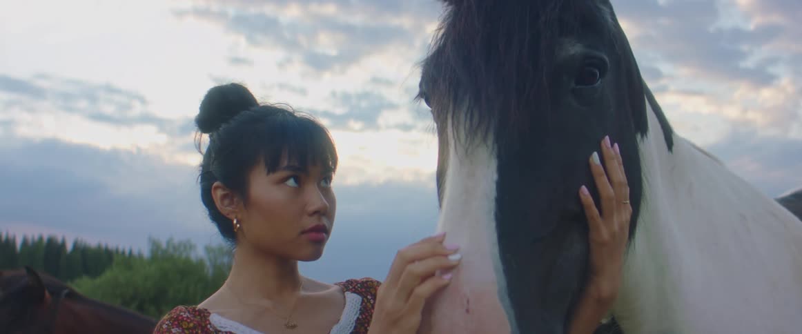 A woman caressing the front of a horse