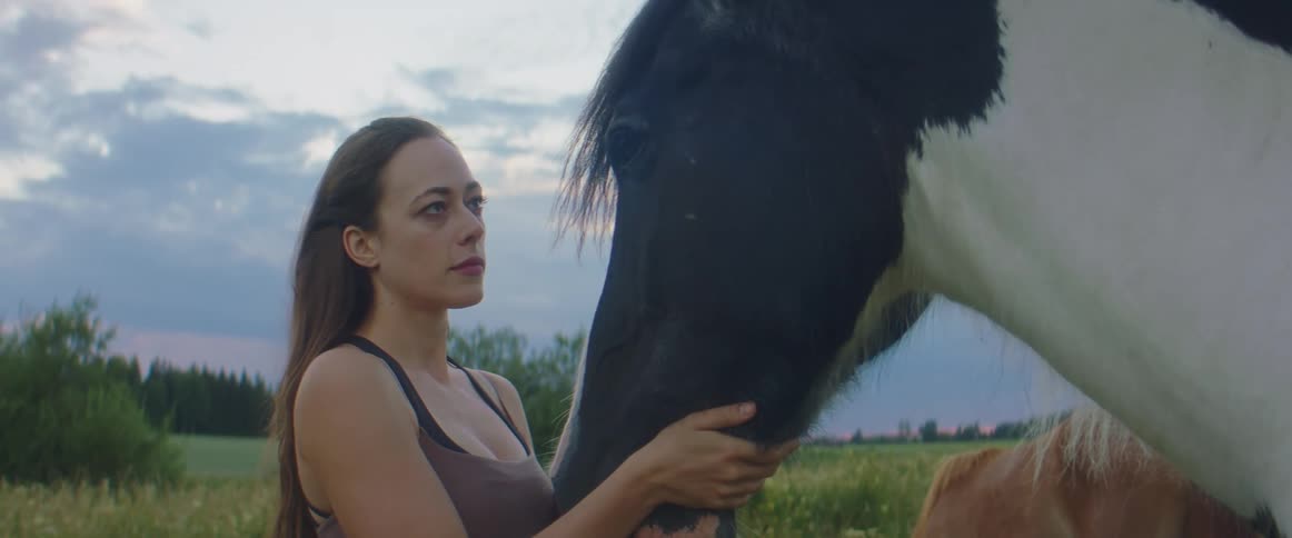 A woman smiling while petting a horse in a rural field at sunset