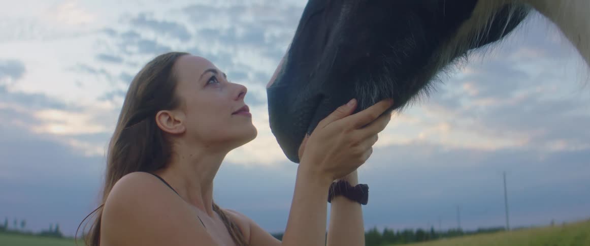 Woman with brown hair caresses and kisses horse