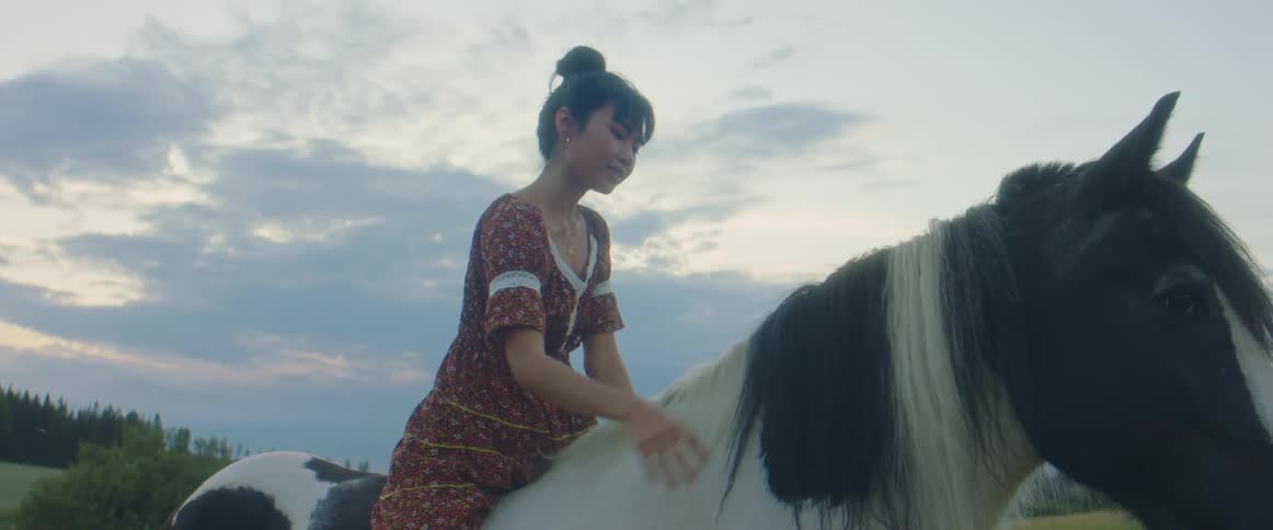 Woman with patterned dress strokes horse in the field at dusk