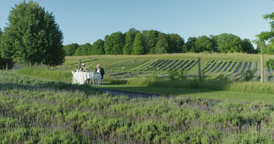 Couple sitting on a table near crops on a field in the countryside at morning