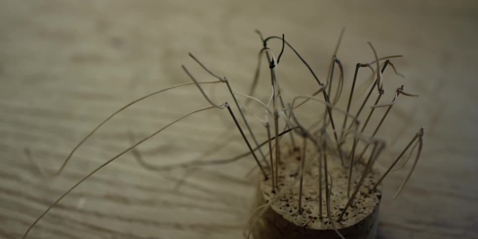 A cork sits on a table with needles and string in it