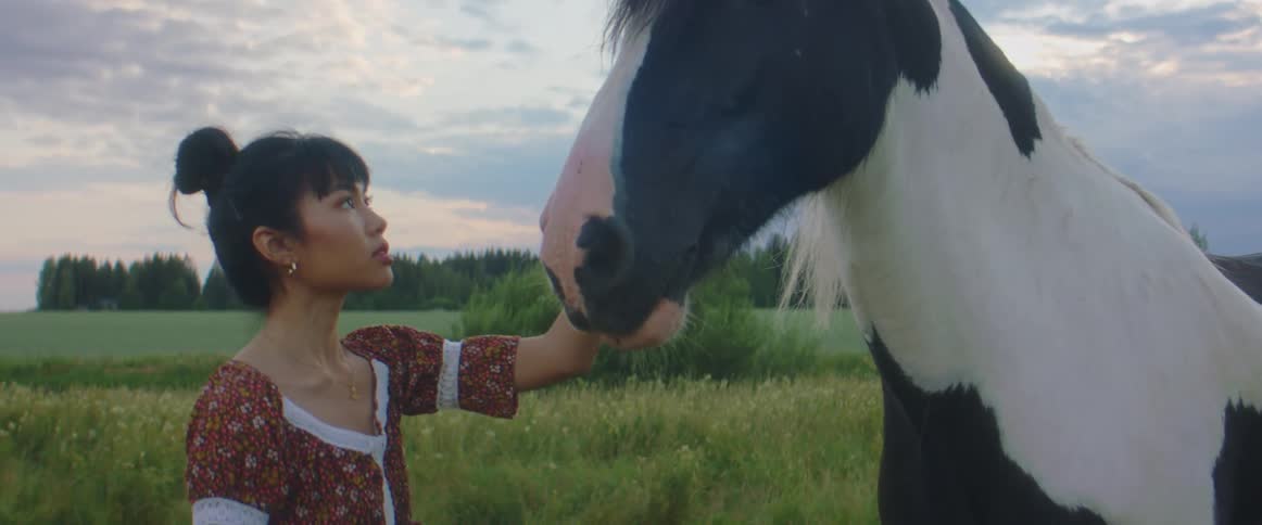 Woman pets a horse as they stand in a field