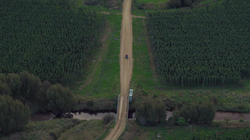 Vehicle driving on a dirt road on a rural area through plantations