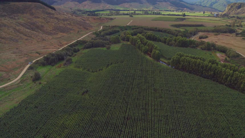 A truck drives along a narrow run that runs between steep hills and a field of crops