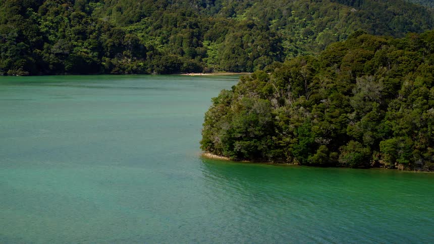 An aerial view of a coast with trees at the coast