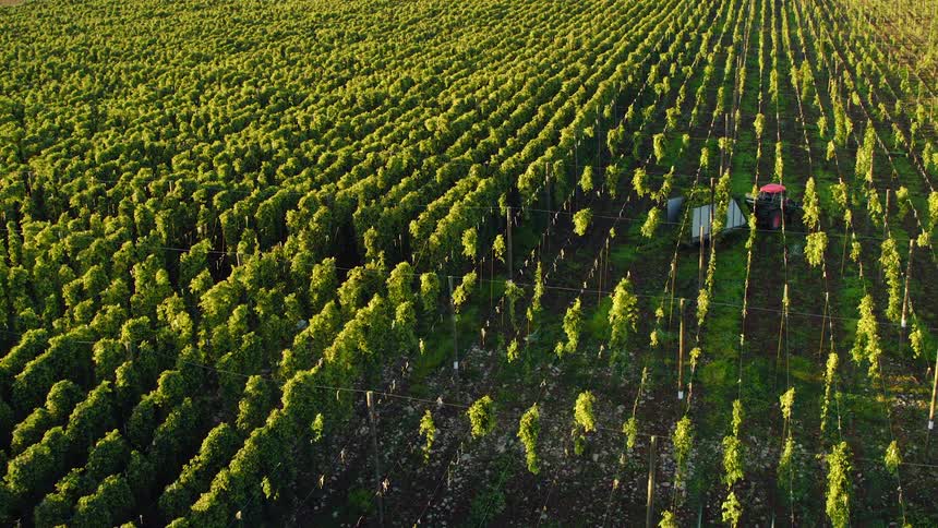 Farmers working on a farm harvesting crops