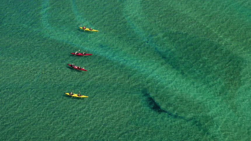 High shot of kayakers